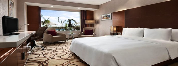 1195/Piccadily Hotel - New Delhi 10.jpg